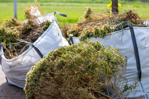 Best Yard Waste Removal  in Sandstone, MN